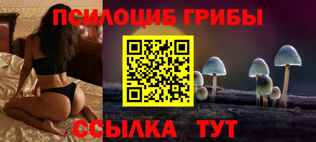 Псилоцибиновые грибы мицелий  цены наркотик  Псилоцибиновые грибы мицелий  Азов  Вход с VPN 